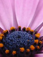 /album/fotogallerij/a2012-07-31-14-37-15-0022-jpg/